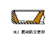 DLIܷ