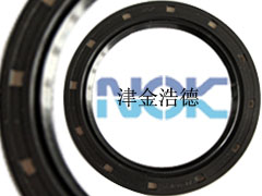 NOK-׼ͷ-TC