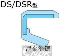 NDK-תͷ-DS/DSR
