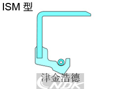 NDK-תͷ-ISM